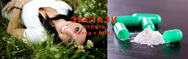 крисы Богородицк