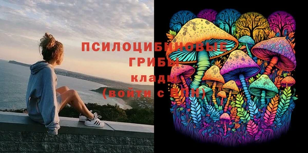 прущая мука Бугульма