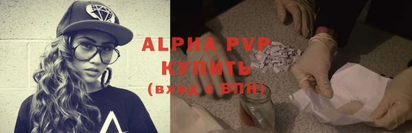 крисы Богородицк