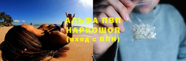 скорость Бородино