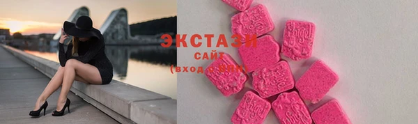 крисы Богородицк