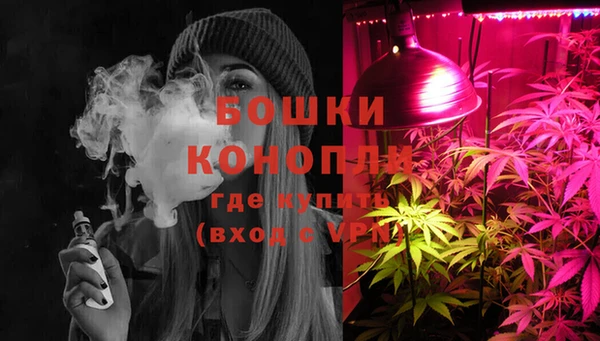 крисы Богородицк