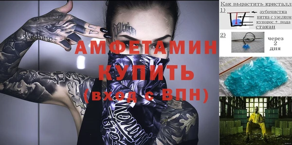 крисы Богородицк