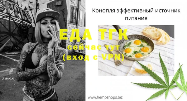 крисы Богородицк