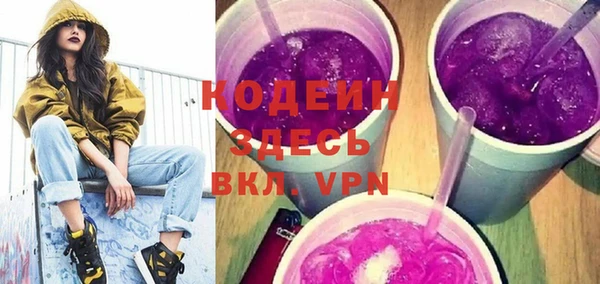 крисы Богородицк
