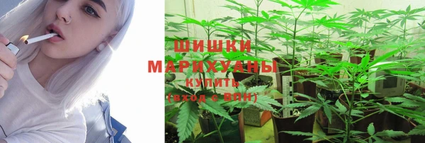 крисы Богородицк