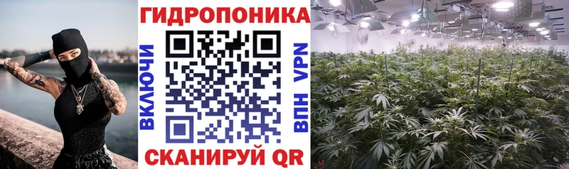 Бошки Шишки планчик что такое наркотик blacksprut как зайти Каневская